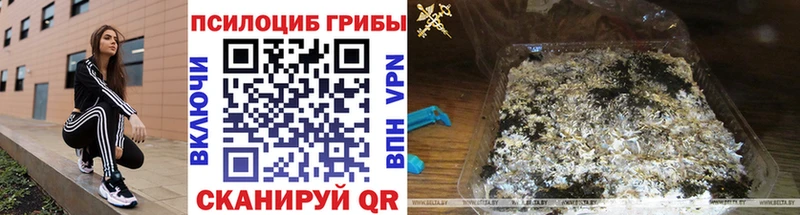 Галлюциногенные грибы GOLDEN TEACHER  Купить закладки  Артёмовск 